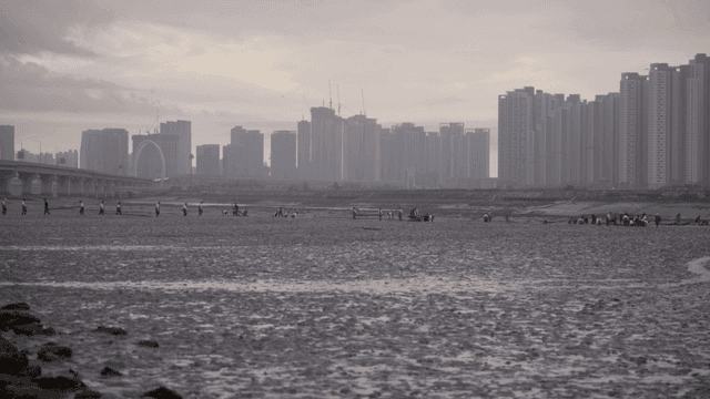 People walking on a muddy shore with cityscape