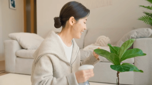 실내에서 식물에 물을 주는 여성