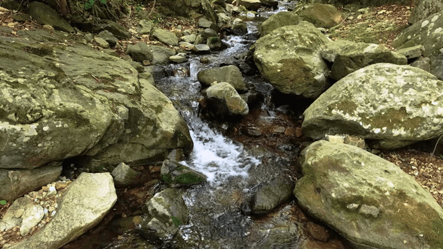 바위 위로 흐르는 작은 시냇물
