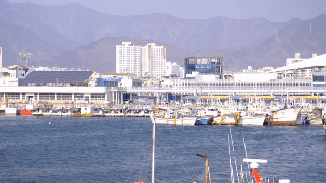 Port city with fishing boats surrounded by mountains