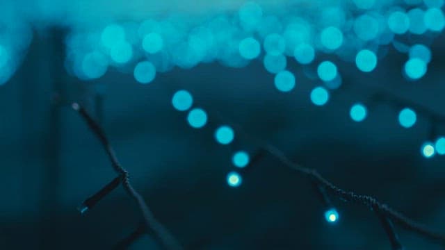 밤에 꿈같은 불빛 전시