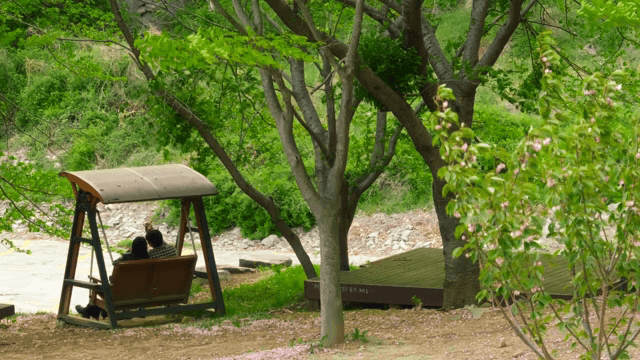 공원에서 그네에 앉아 있는 커플