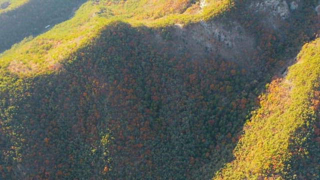 낮 시간 동안의 산맥과 광활한 농지가 있는 시골 마을