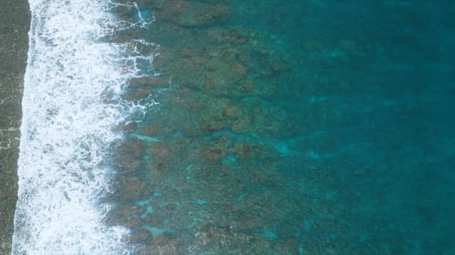 White Foam of Waves Crashing Against the Shore