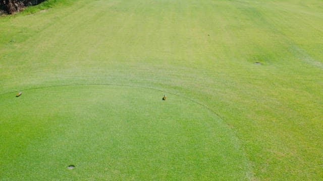 Panoramic View of a Serene Golf Course