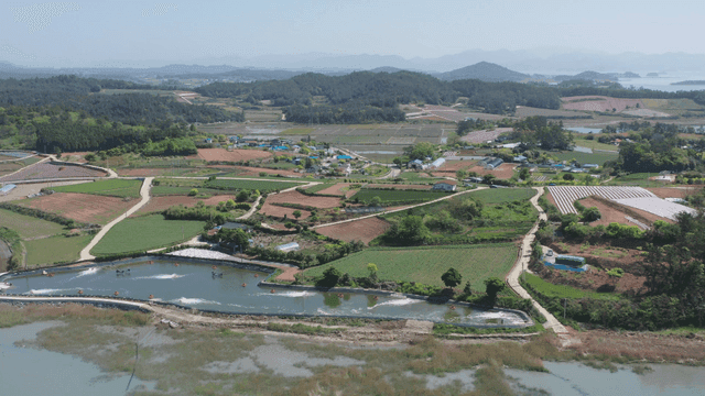 연못이 있는 넓은 시골 농지