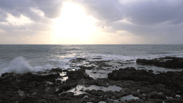 Rocky coast with setting waves and seagulls