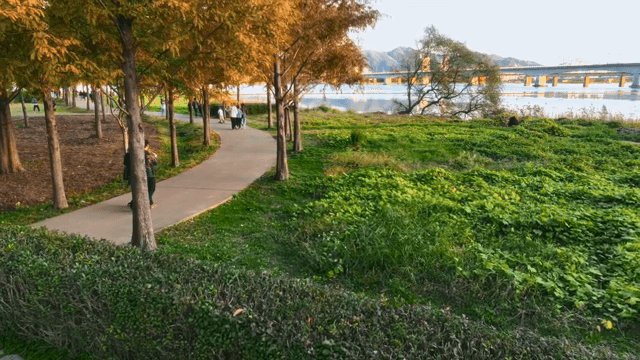 알록달록한 나무들이 있는 공원에서 걷는 사람들