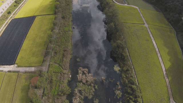 푸른 농지를 흐르는 강