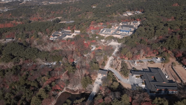 가을 단풍에 둘러싸인 전통 한국 사찰