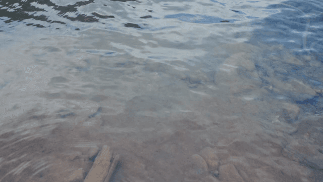 돌이 보이는 맑은 강물