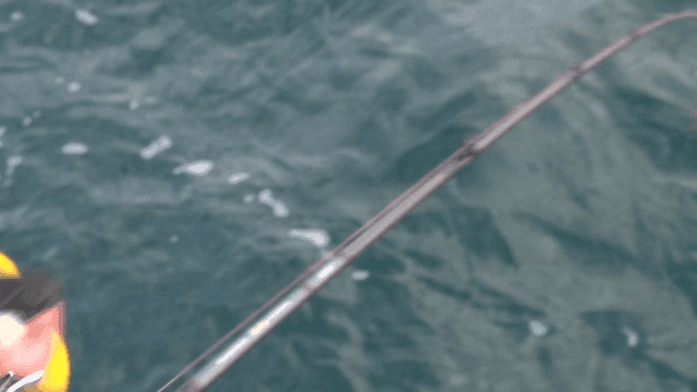 Person's hand pulling fishing rod and reel in sea