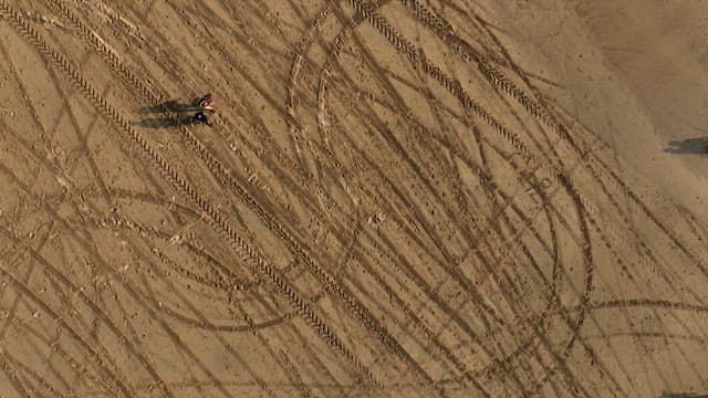 모래 해변을 걷는 사람들