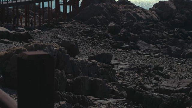 해안 풍경을 따라 이어진 나무 산책로