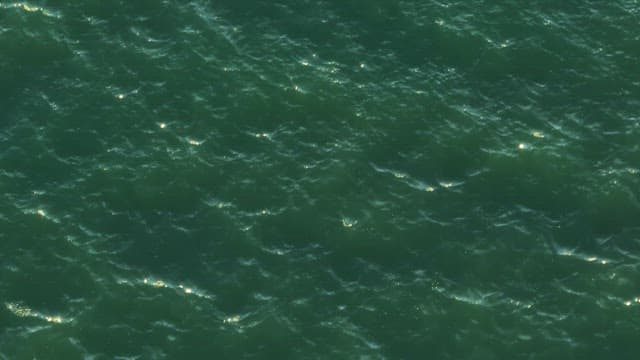 햇빛이 반사되는 잔잔한 물결