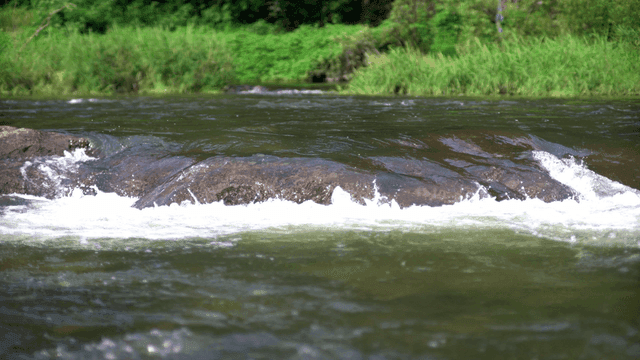 Flowing river with rocks and greenery