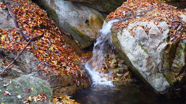 Small waterfall flowing between rocks in the autumn forest