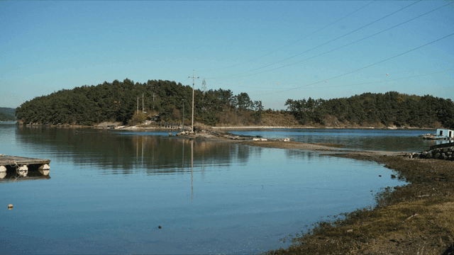 고요한 해안 지역의 밀물과 썰물