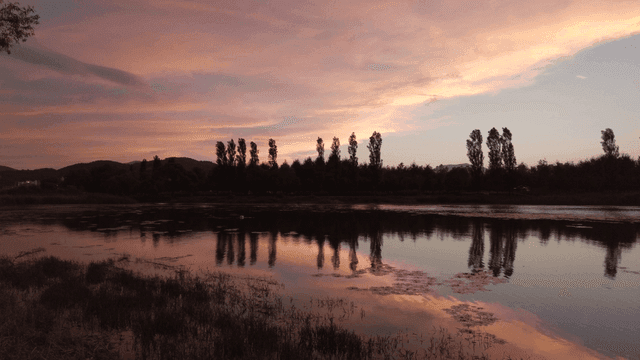 Tranquil lake at sunset with trees