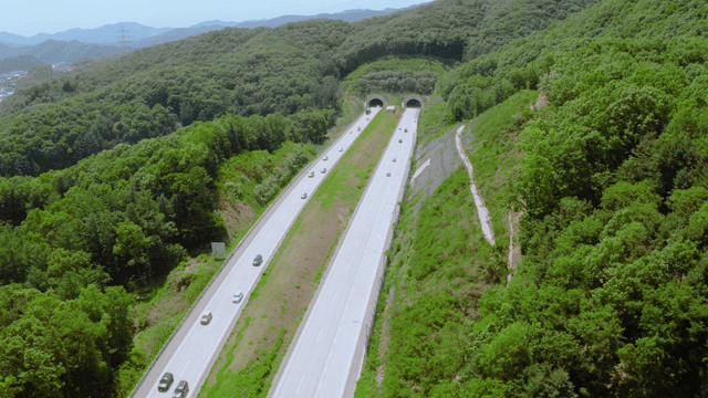 Highway through lush green forest