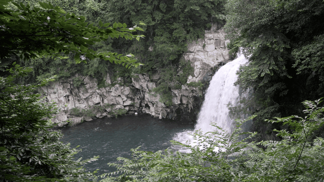Serene waterfall surrounded by lush greenery