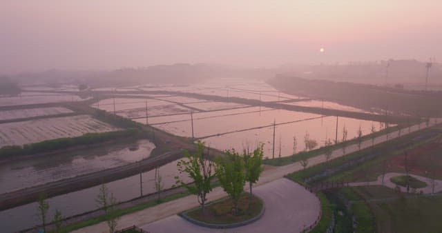 고요한 논 위로 지는 해