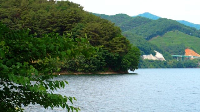 Serene mountain lake surrounded by lush greenery