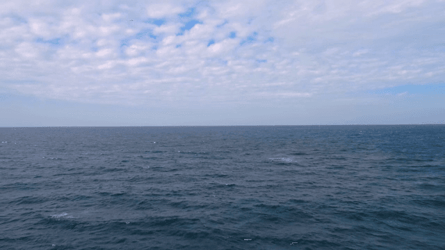 맑은 하늘 아래 광활한 바다