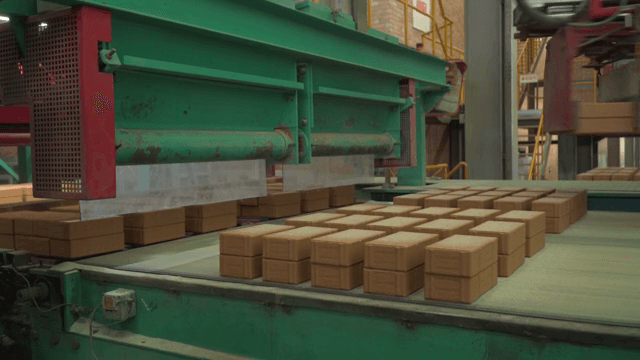 Bricks moving on a conveyor belt