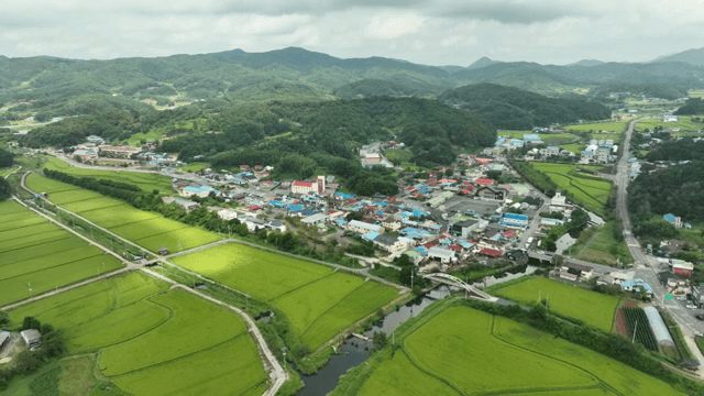 녹색 농경지에 둘러싸인 시골 마을