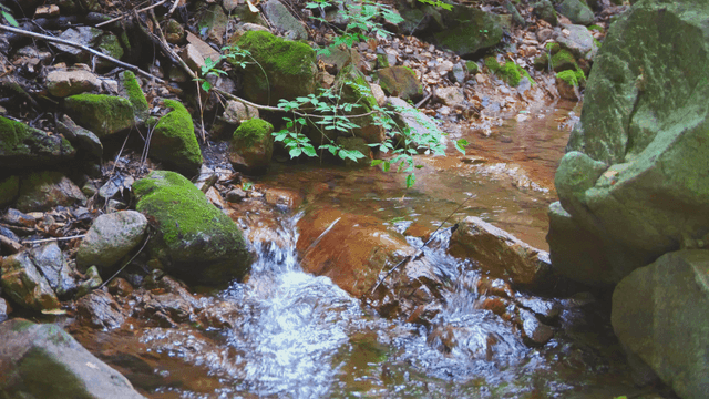 이끼 낀 바위를 흐르는 작은 시냇물