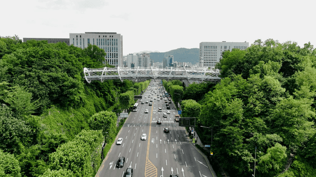 Busy downtown road surrounded by greenery