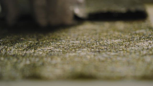 잘 구운 김에 기름 바르기