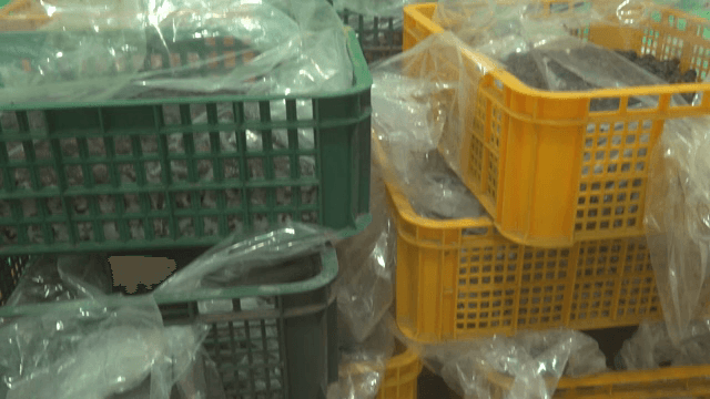 Plastic-wrapped crates in a storage room