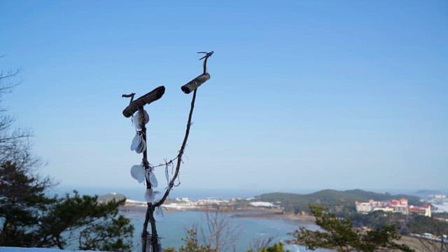 조개 껍데기 조형물이 있는 해안 경관