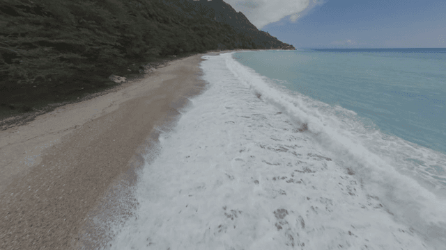 파도와 숲이 있는 아름다운 해안선