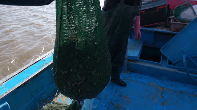 Fishing net being lifted on a boat