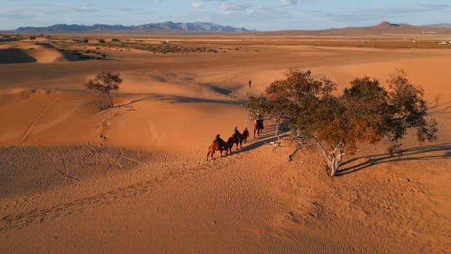 People riding camels in a vast desert