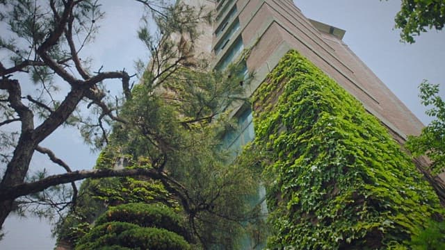 푸른 담쟁이 덩굴이 덮힌 고층 건물