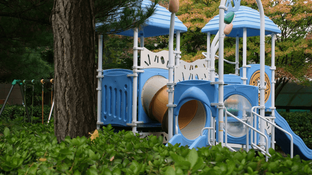 Quiet playground surrounded by trees1