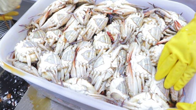 간장게장을 만들기 위해 주방에서 일하는 사람들