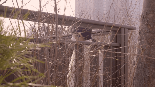 마스크와 이어폰을 착용한 여성의 뒷모습