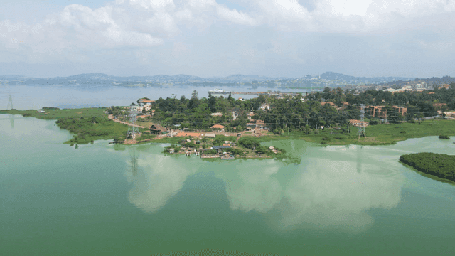 Serene lakeside village with greenery