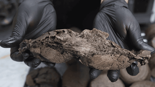 반으로 갈라진 뜨거운 검은빵