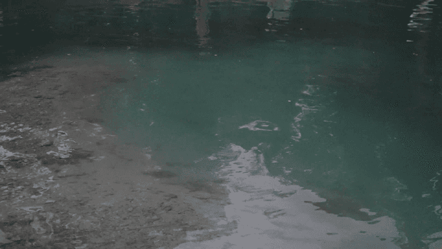 Clear lake with gentle waves