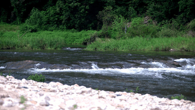 푸른 숲을 흐르는 잔잔한 강