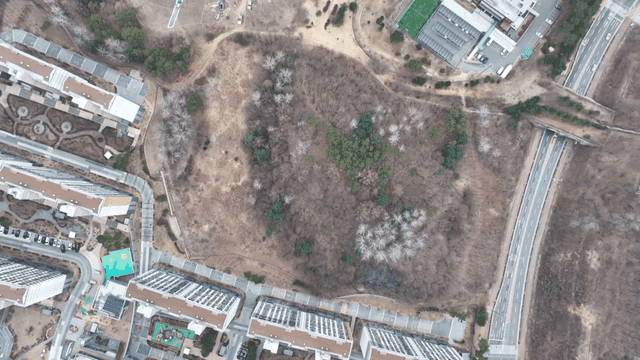 Aerial view of a forest near urban area