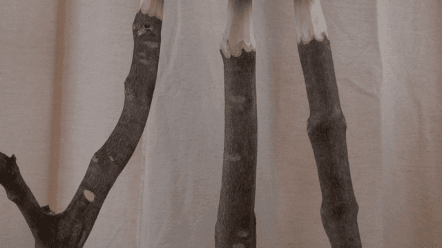 자연 가지로 만든 나무 의자