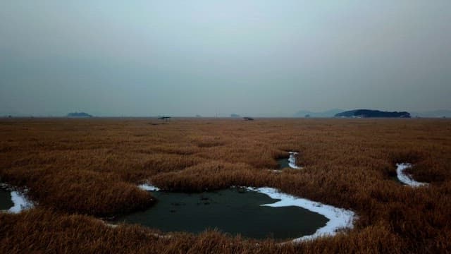 Scenery of wide open fields