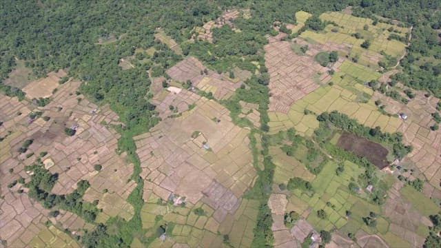 Expansive farmland with lush greenery